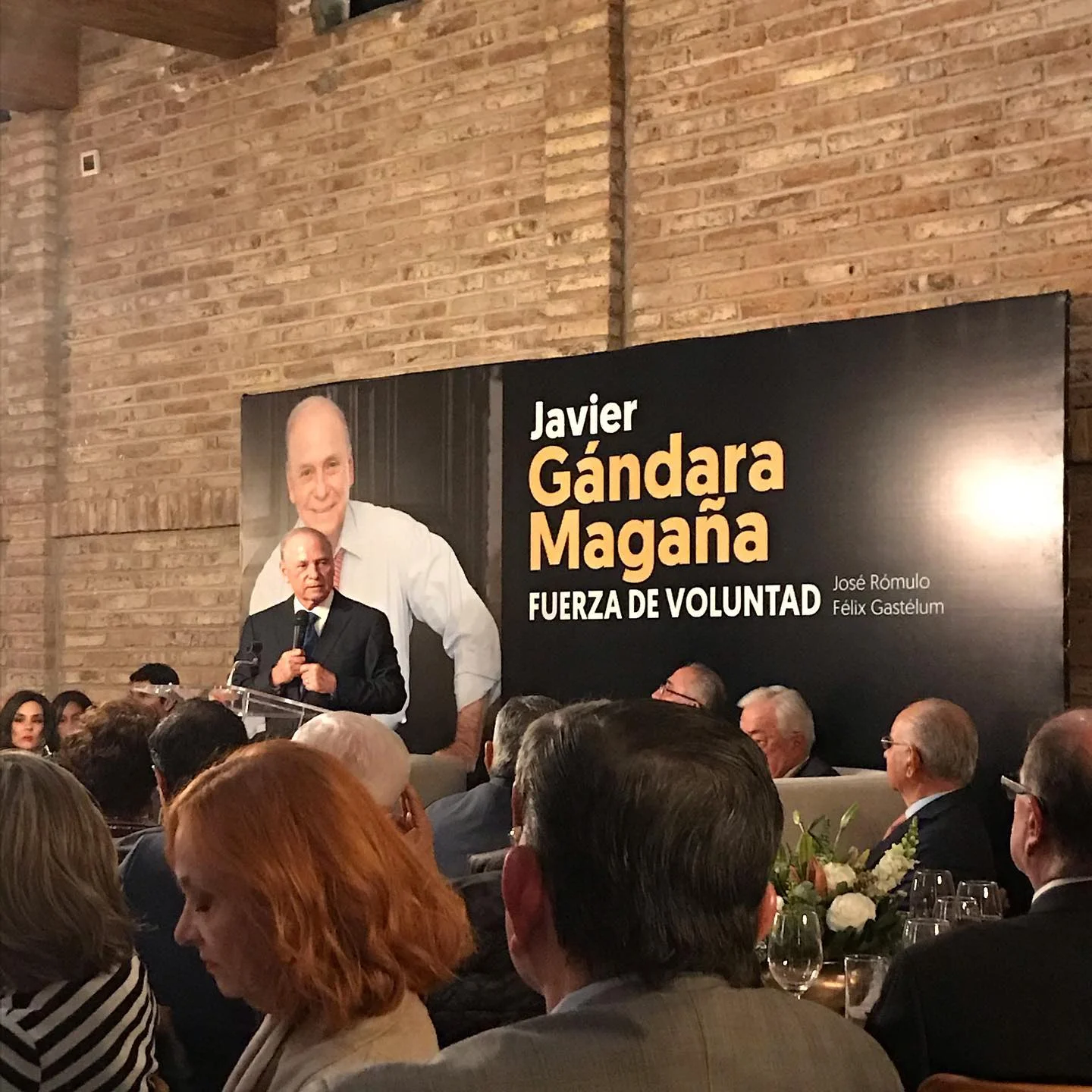 Fuerza de voluntad, libro de Javier Gándara Magaña