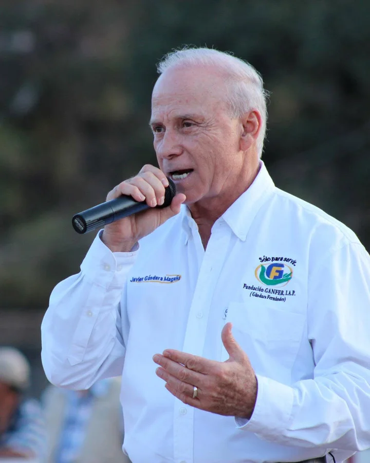 Javier Gándara Magaña, servicio público