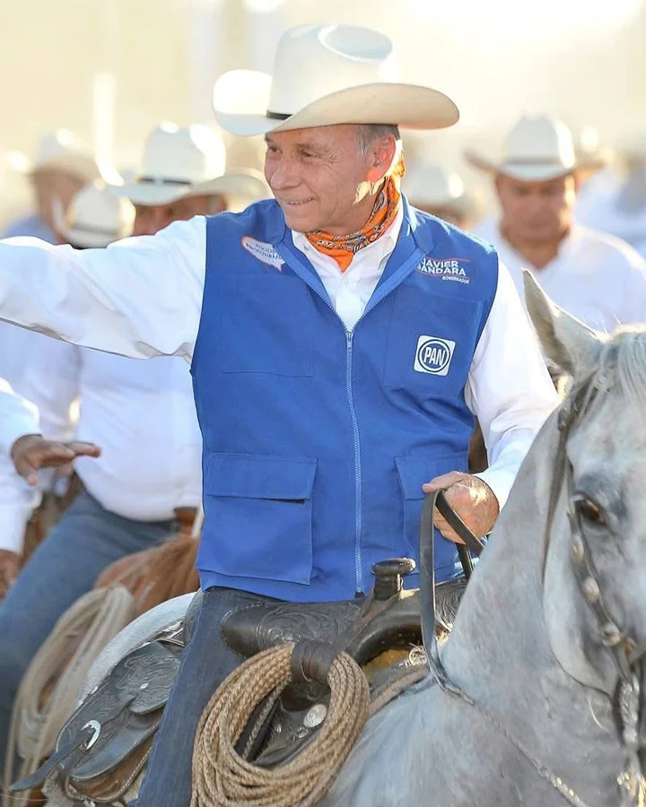 Javier Gándara Magaña, campaña política