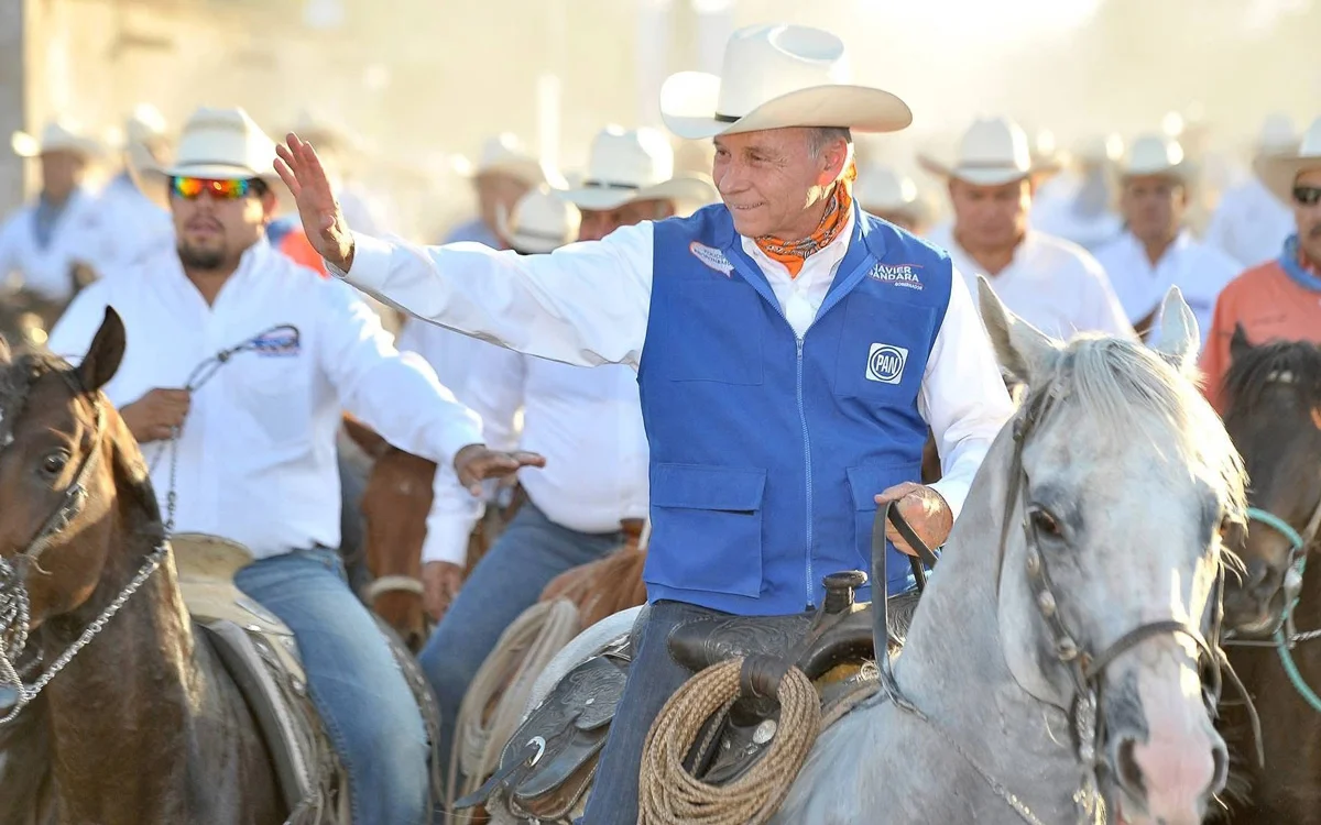 Javier Gándara Magaña, campaña política